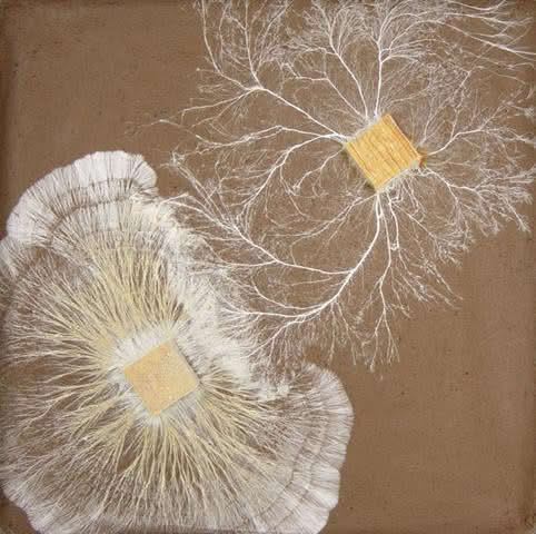 Fungi at war