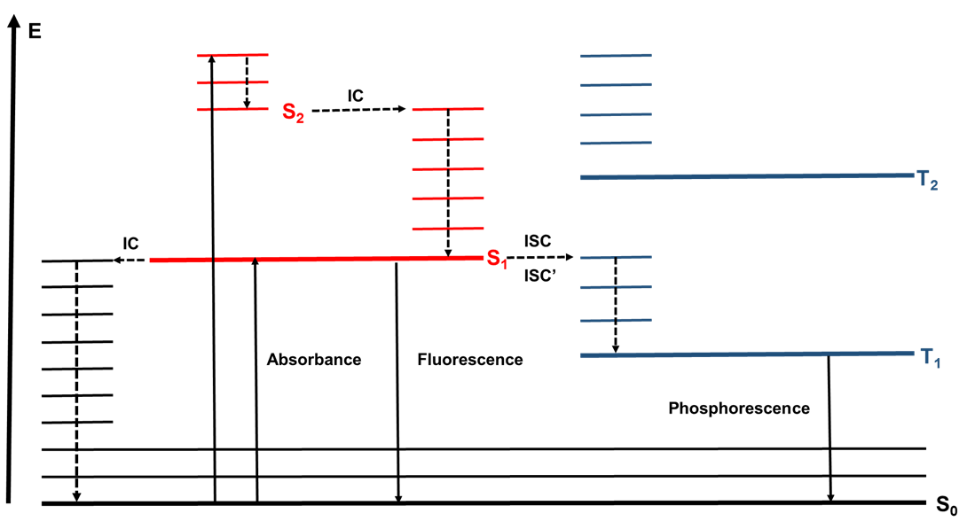 Jabłoński diagram of energy levels